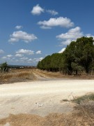 YATIRIM AMA�LI SATILIK ARSALAR - 47